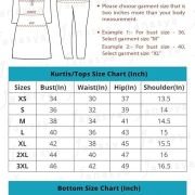 Janasya Women’s Organza Jacquard Straight Kurta Set